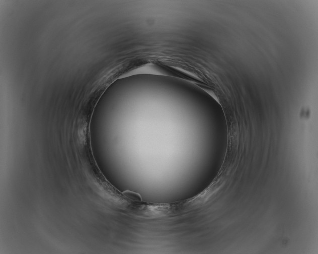 X0000090770188200708031701