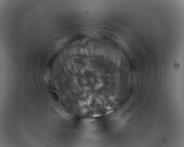 X0000090770189200708031701