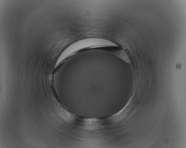 X0000090770192200708031701