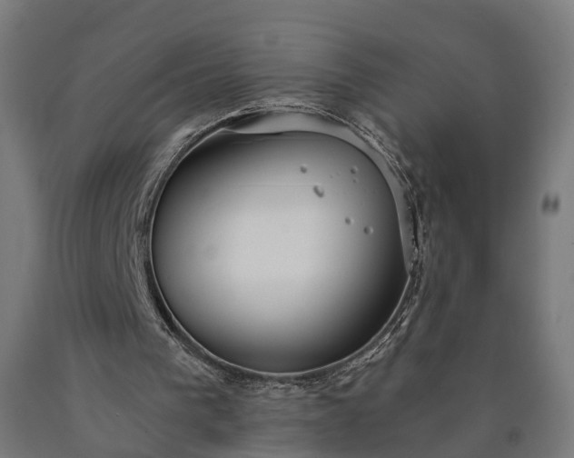 X0000090770193200708031700