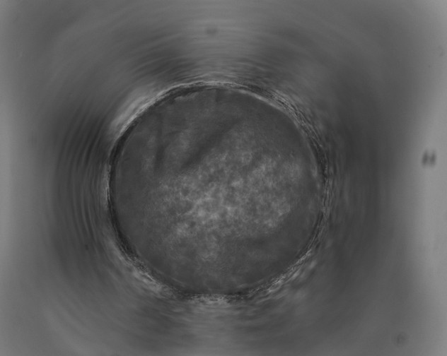 X0000090770194200708031700