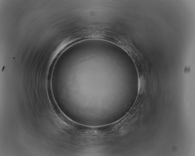 X0000090770195200708031700