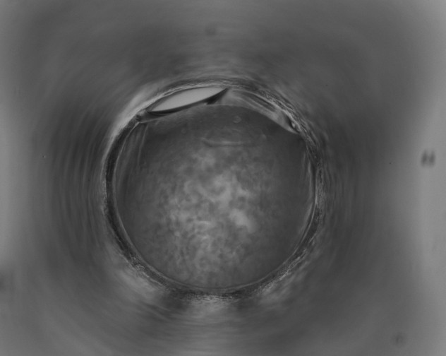 X0000090770198200708031700