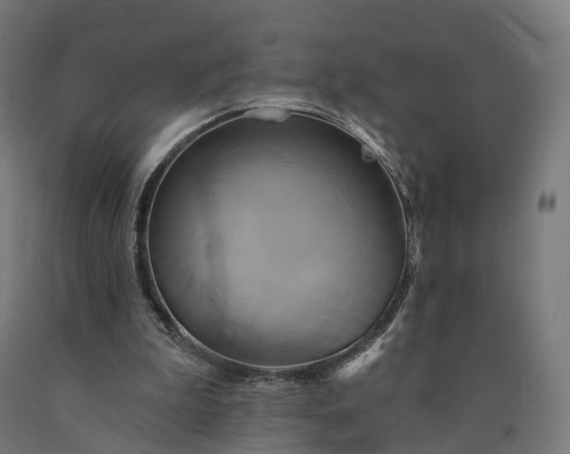 X0000090770199200708031700