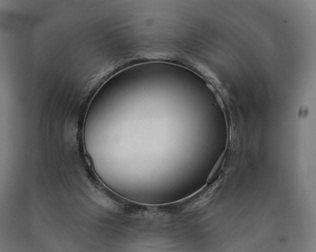 X0000090770201200708031700