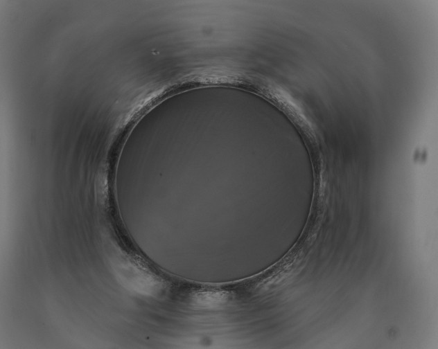 X0000090770202200708031700