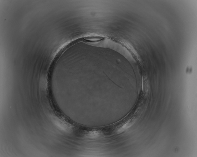 X0000090770204200708031700