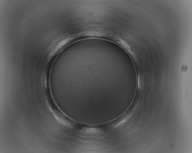 X0000090770205200708031700