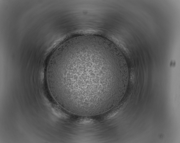 X0000090770206200708031700