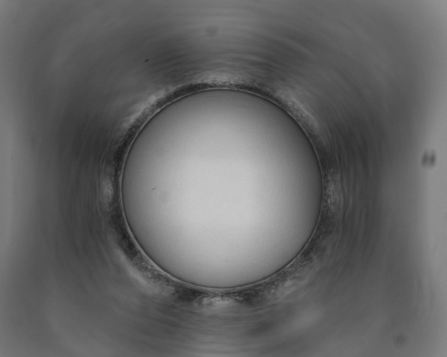 X0000090770208200708031700