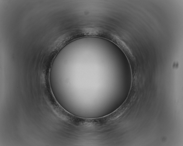 X0000090770209200708031700