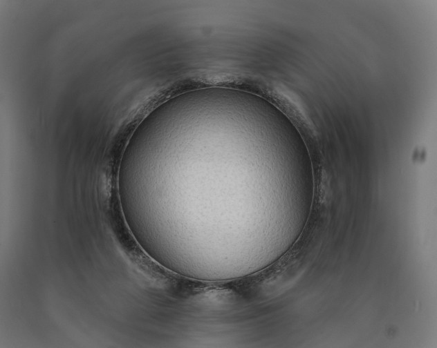 X0000090770210200708031700