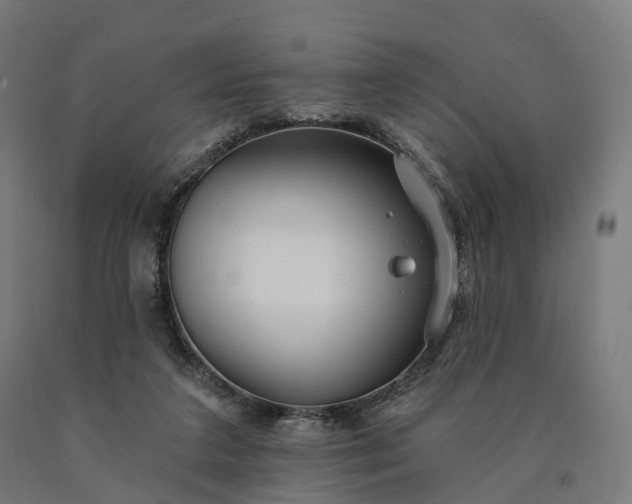 X0000090770211200708031700
