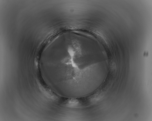 X0000090770214200708031700