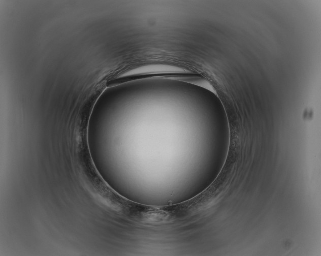 X0000090770215200708031700
