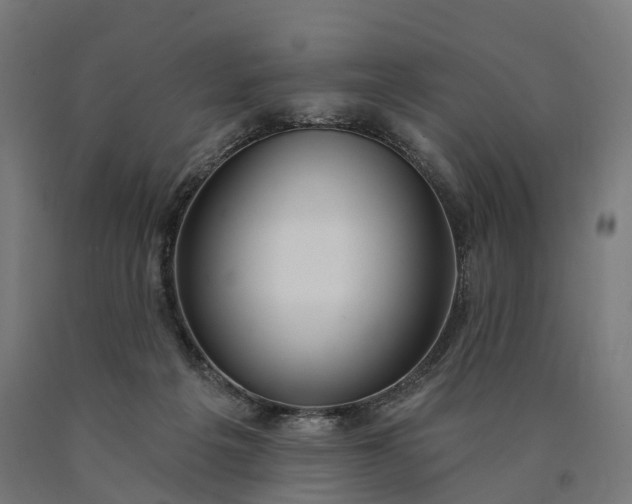 X0000090770217200708031700