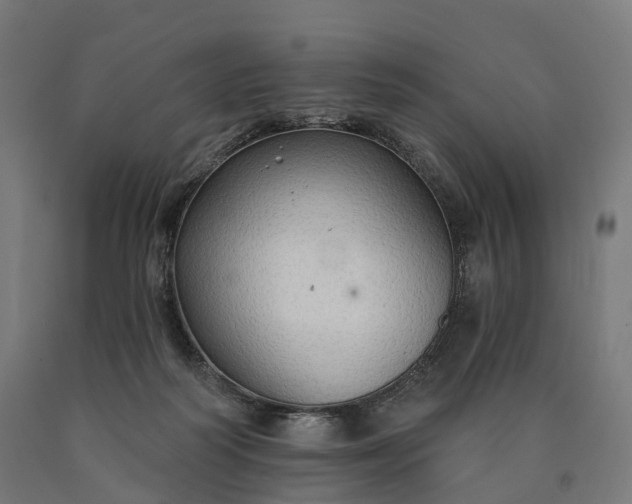 X0000090770218200708031700