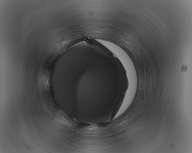 X0000090770219200708031659