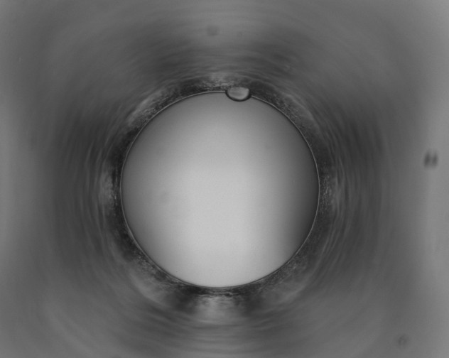 X0000090770220200708031659