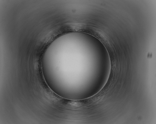 X0000090770221200708031659