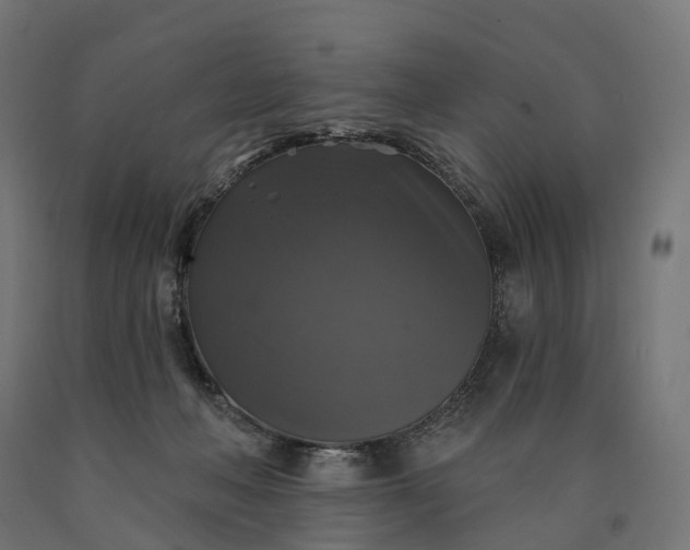 X0000090770222200708031659