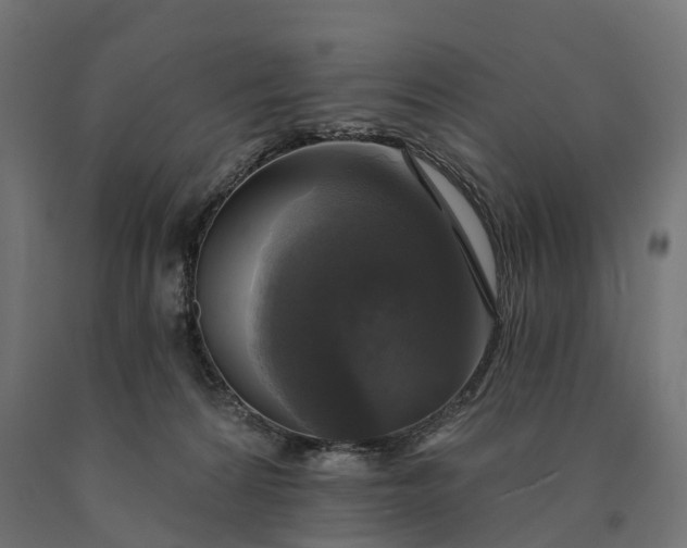 X0000090770224200708031659