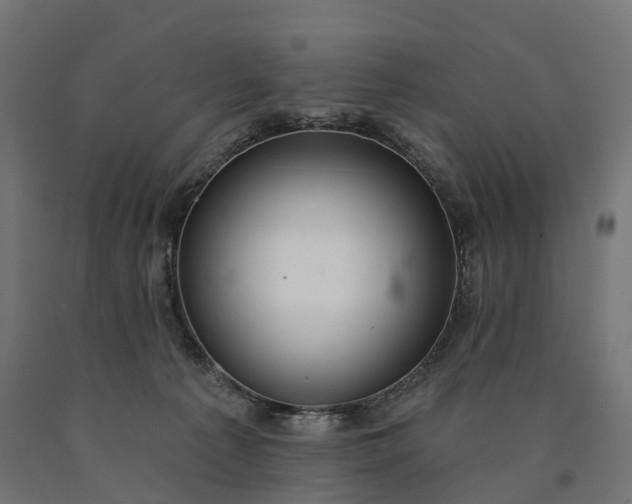 X0000090770225200708031659