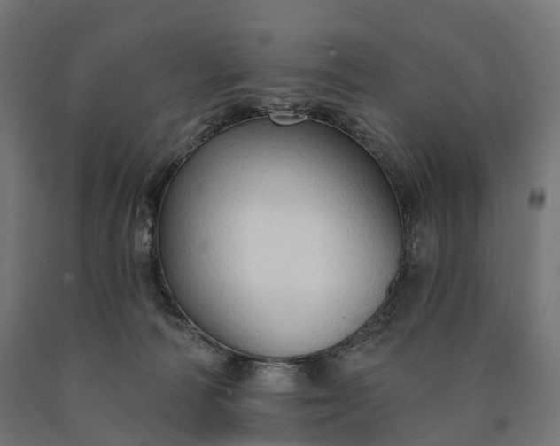 X0000090770226200708031659