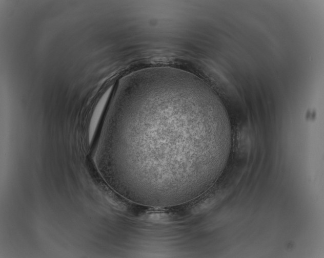 X0000090770228200708031659