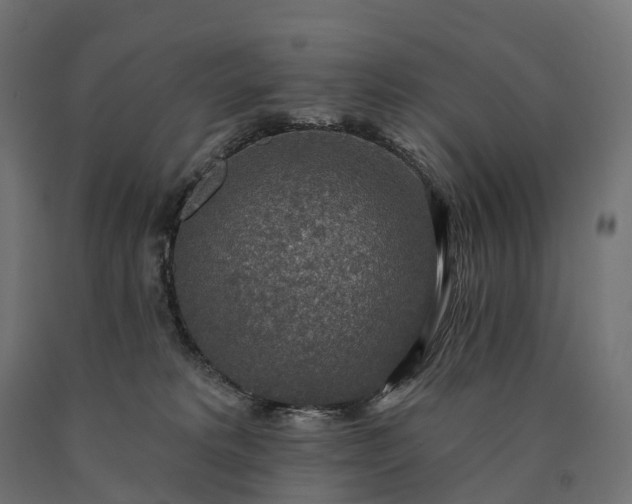 X0000090770229200708031659