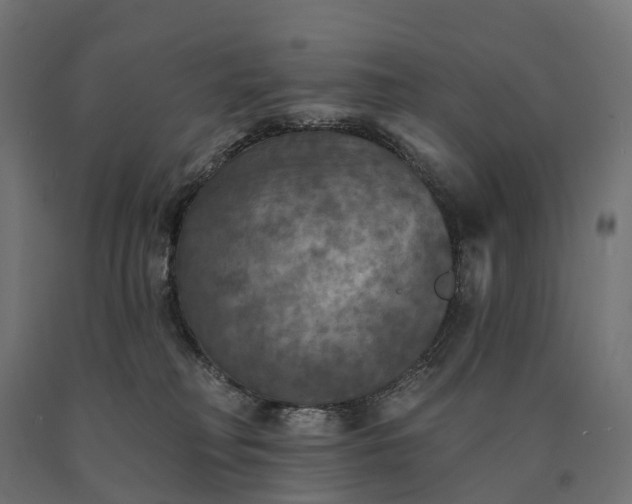 X0000090770230200708031659