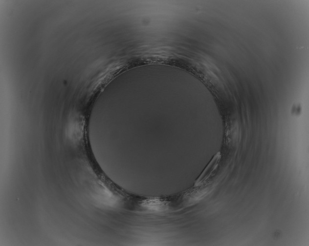 X0000090770231200708031659