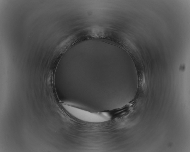 X0000090770233200708031659