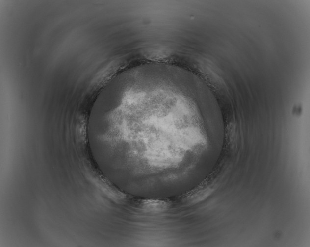 X0000090770234200708031659