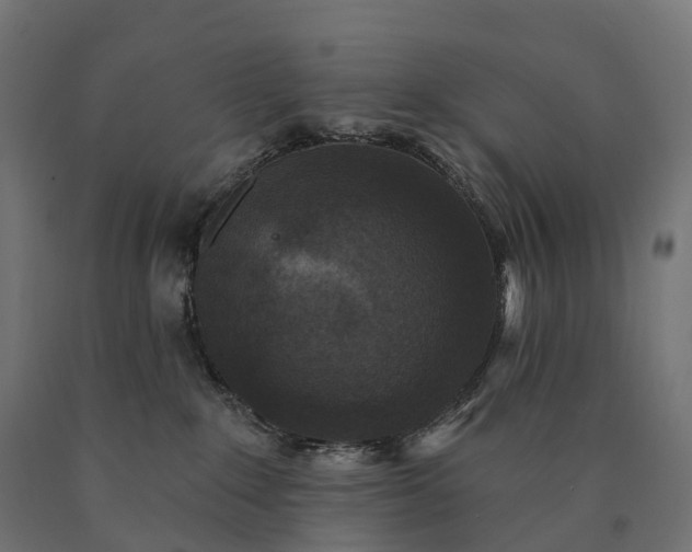 X0000090770235200708031659