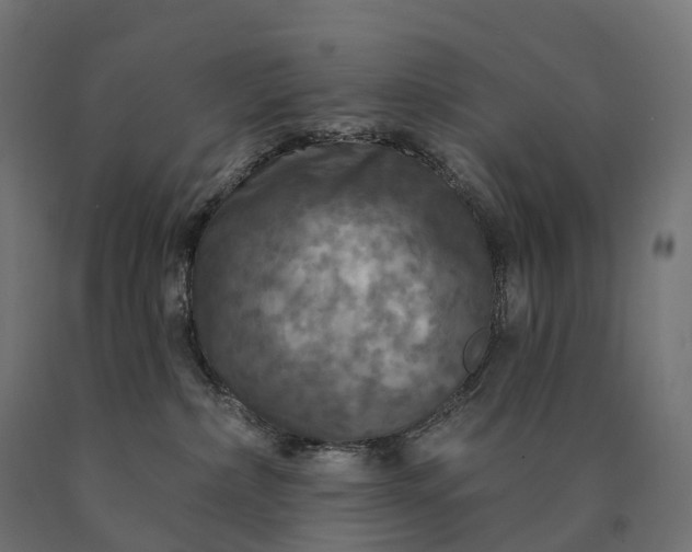 X0000090770236200708031659