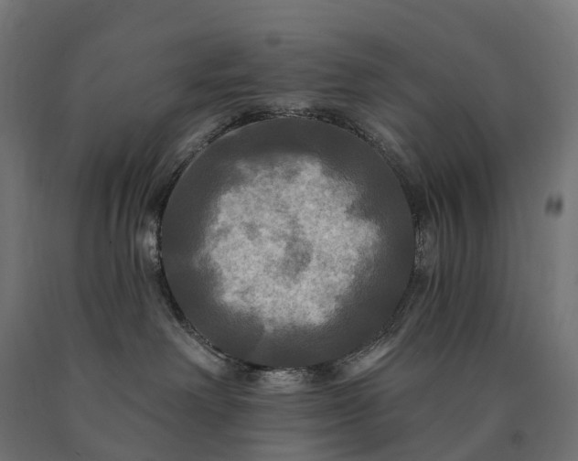 X0000090770238200708031659