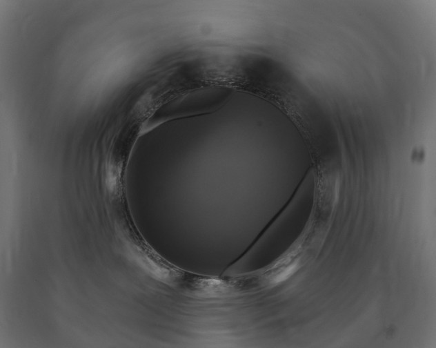 X0000090770239200708031659