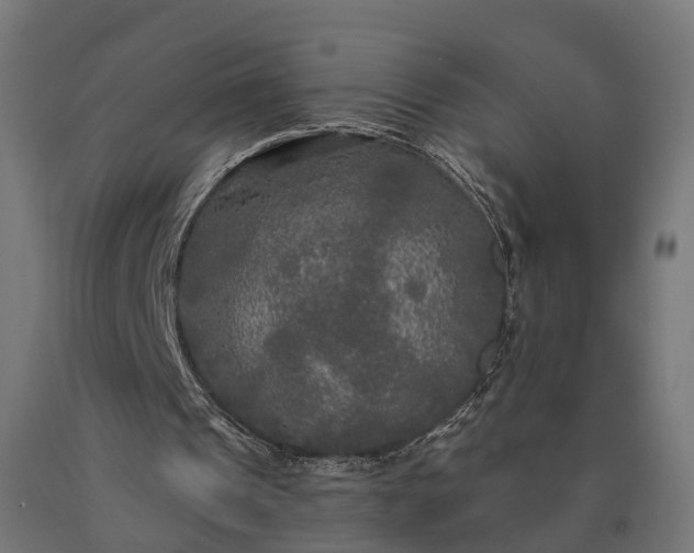 X0000090770241200708031659