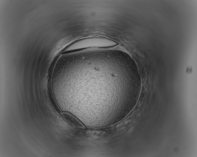 X0000090770242200708031659