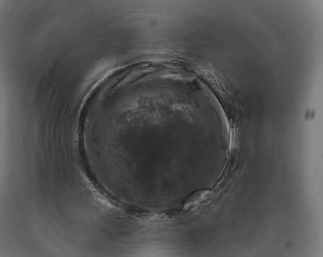 X0000090770243200708031659