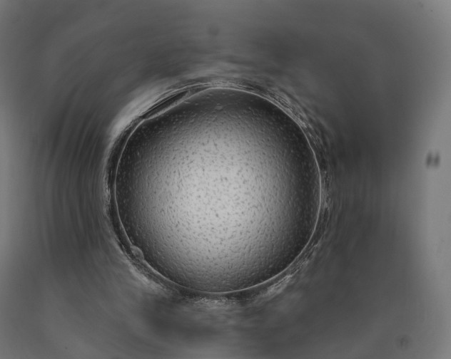 X0000090770245200708031659