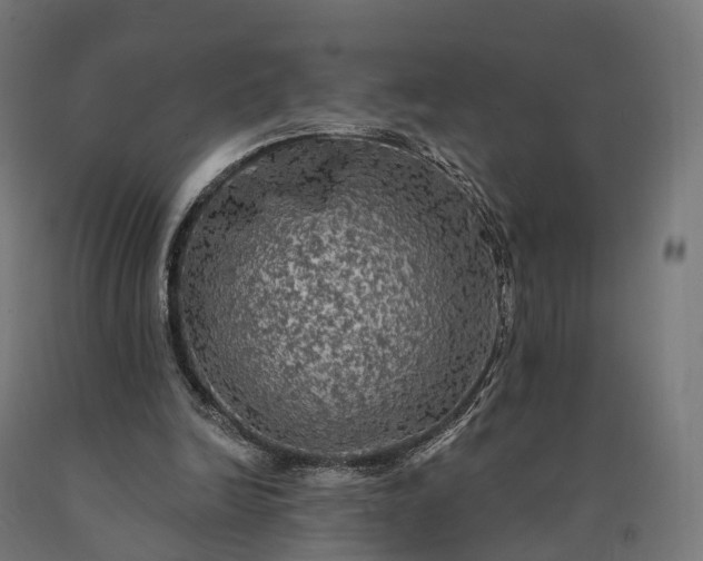 X0000090770246200708031659