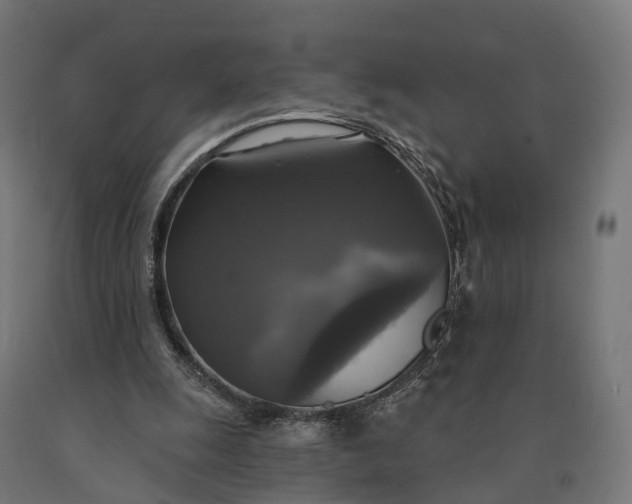 X0000090770247200708031659
