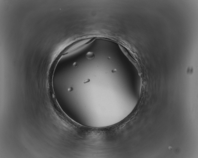 X0000090770248200708031659