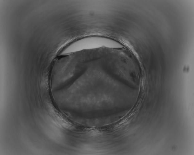 X0000090770249200708031659