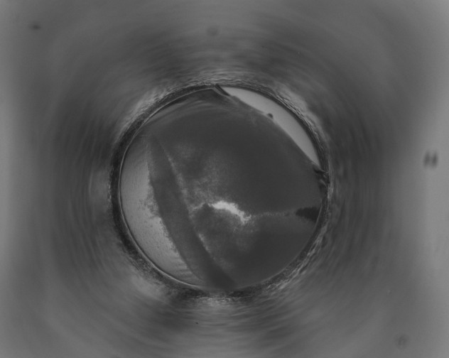 X0000090770250200708031659