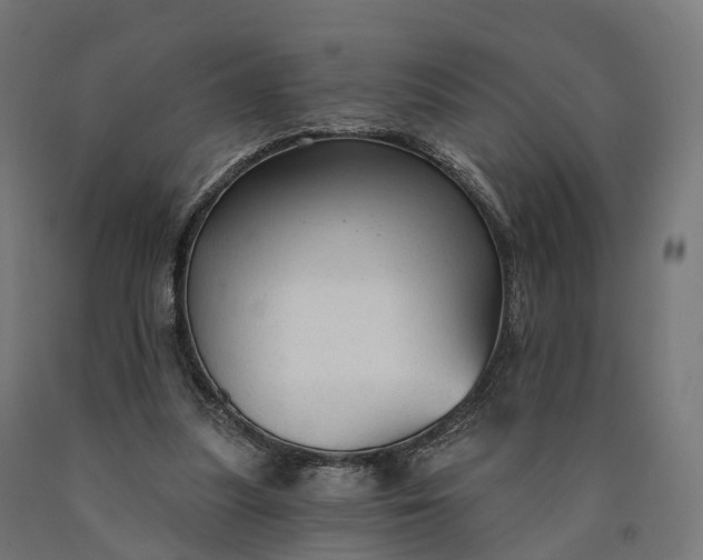 X0000090770251200708031659