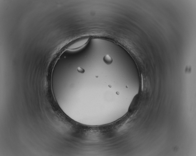 X0000090770252200708031659