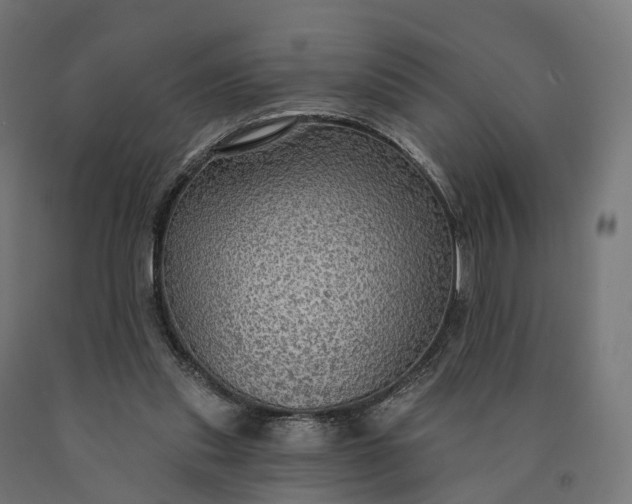 X0000090770253200708031659